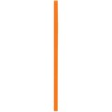  Navlaka za stojeće stupove za trampoline AGA SPORT EXCLUSIVE 180/250/305/366 cm - narančasta | shoptok.hr