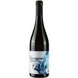 vinum sauvignon blanc