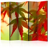  Paravan u 5 dijelova - Colourful leaves II [Room Dividers] 225x172 Cijene