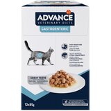 Affinity Advance Veterinary Diets Advance Veterinary Diets Feline Gastroenteric - 12 x 85 g Cene