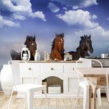  Foto tapeta - Horses in the Snow 400x280 Vodootporna | shoptok.hr
