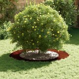  Pogodno za ravne drvene prstenove 5 pcs Smeđa Ø60 / 90 cm | shoptok.hr