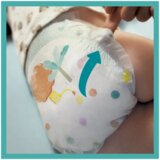 Pampers Active Baby Maxi Pack Plus | shoptok.hr