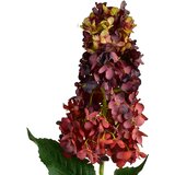Mondex Umetna cvetna veja Viridis 80x1 zelena 1kos, (5000331117) | Shoptok.si