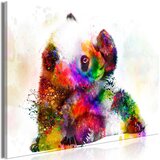  Slika - Little Panda (1 Part) Wide 60x40 Cijene
