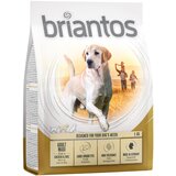 briantos suha pasja hrana 1 kg po posebni ceni! - Adult Maxi | Shoptok.si