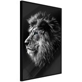  Poster - Old King 30x45 | shoptok.hr