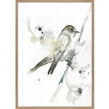 Malerifabrikken Plakat z okvirjem 50x70 cm Bird 2 – | Shoptok.si