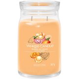 Yankee Candle Mango Ice Cream mirisna svijeća Signature 567 g | shoptok.hr