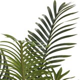  Umetna palma zelena 80 cm PP, (5000208162) | Shoptok.si