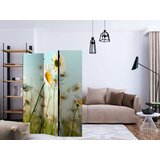  Paravan u 3 dijela - Daisies - spring meadow [Room Dividers] 135x172 | shoptok.hr