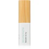 Skin Care Lip Balm regenerirajući balzam za usne 5 g
