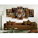  Slika na akrilnom staklu - Golden Jungle 100x50 | shoptok.hr