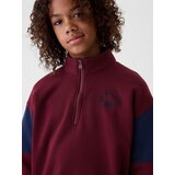 GAP Kid's Sweater - Boys | Shoptok.si