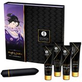 Shunga komplet - Naughty Geisha Cene