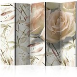  Paravan u 5 dijelova - Birthday wishes II [Room Dividers] 225x172 | shoptok.hr