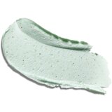 Payot Pâte Grise Stick Gommant Purifiant piling za lice za problematično lice 25 g | shoptok.hr