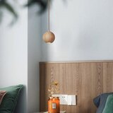  Visilica na sajli 1xGU10/10W/230V, prečnik 11 cm, masiv/jasen | Eponuda.com