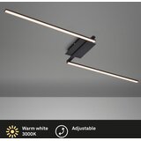 Lesnina XXXL Brilo 3500-015 - LED plafonski luster STAFF 2xLED/6W/230V crna | Eponuda.com