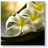  Slike na platnu feng shui (moderne slike na platnu) | ePonuda.com