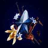 Mugler Angel Elixir parfumska voda za ženske 100 ml | Shoptok.si