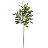 Floraworld Set od 3 veštačke grane Masline Cene