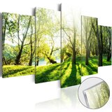  Slika na akrilnom staklu - Green Glade [Glass] 200x100 Cijene