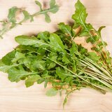 Kokopelli Bio rukola "Arugula" - 6 g | Shoptok.si