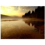  Tapeta - Forest and lake 250x193 | shoptok.hr