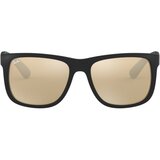 Ray-ban Sončna očala RB41656225A55 Črna Cene