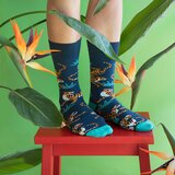 Banana Socks Unisex's Socks Classic Roar Cene