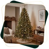 CT0264 BOŽIĆNO DRVCE KAVKASKA SMREKA 200 CM | shoptok.hr