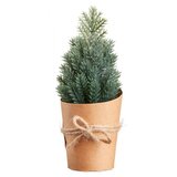 Olimp Sport Novogodišnja jelka u saksiji zelena | ePonuda.com