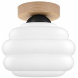 Brilagi LED plafonsko svetlo RETRO GLASS 1xE27/60W/230V fi 20 cm hrast/bela Cene