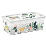 Kis tropical kutija za odlaganje xs