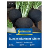 KIEPENKERL Zelenjavna semena Redkvica Runder schwarzer Winter (Raphanus sativus var. niger, Čas žetve: September) Cene