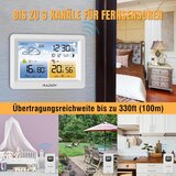 RADDY WM6 brezžična vremenska postaja z zunanjim senzorjem | Shoptok.si