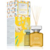 IPURO Essentials Ginger Treasure aroma difuzer 50 ml | shoptok.hr