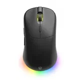 ANT WIRELESS, RGB
