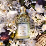 Guerlain Aqua Allegoria Nerolia Vetiver Harvest toaletna voda za ženske limitirana edicija 125 ml | Shoptok.si