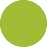 SMIT VISUAL Magnetni simbol KROG, Ø 30 mm, DE 20 kosov, zelene barve | Shoptok.si