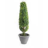 Lilium stablo bonsai 19*60cm 567321 Cene