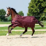 Kavalkade Zunanje pregrinjalo "Alaska IV" 300g bordeaux - 145 cm | Shoptok.si