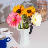DOIY Vaza Kuvalo Za Kafu, siva, | ePonuda.com