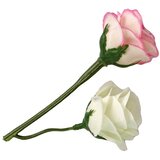 Emily u haljini na točkice s macom | shoptok.hr