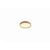 Rabalux plafonjera Leana2 led 12W bukva (71143) | ePonuda.com