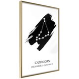  Poster - Zodiac: Capricorn I 40x60 | shoptok.hr