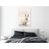  Slika - Fearful Look (1 Part) Vertical 40x60 | shoptok.hr