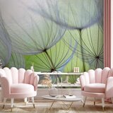  Foto tapeta - Fleeting moments 450x315 | shoptok.hr