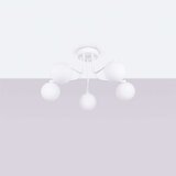  Lestenec ASTRAL 5 beli, (21626983) | Shoptok.si